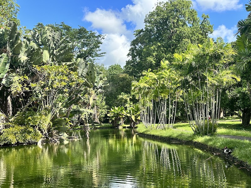 Photo 5 at Sir Seewoosagur Ramgoolam Botanical Garden in Pamplemousses