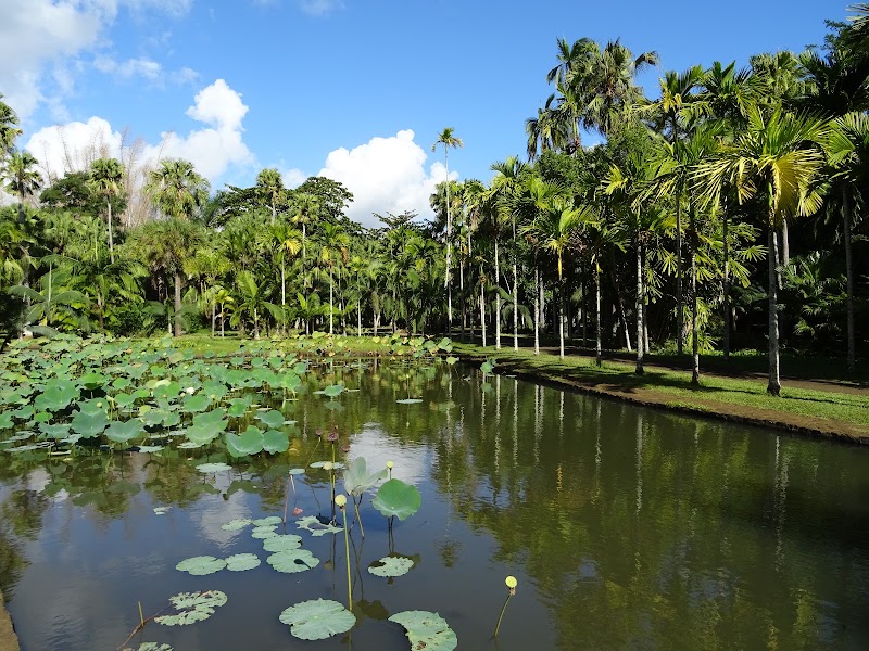 Photo 1 at Sir Seewoosagur Ramgoolam Botanical Garden in Pamplemousses