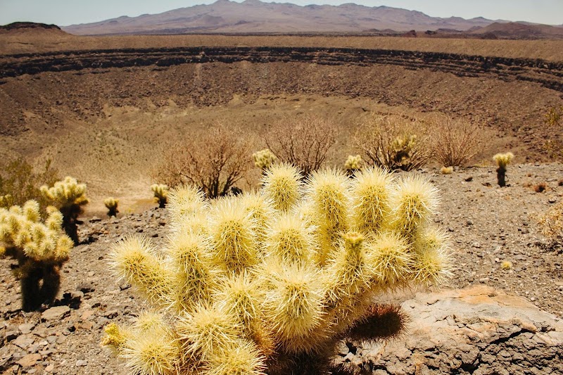 Photo 6 at El Pinacate and Gran Altar Desert in 
