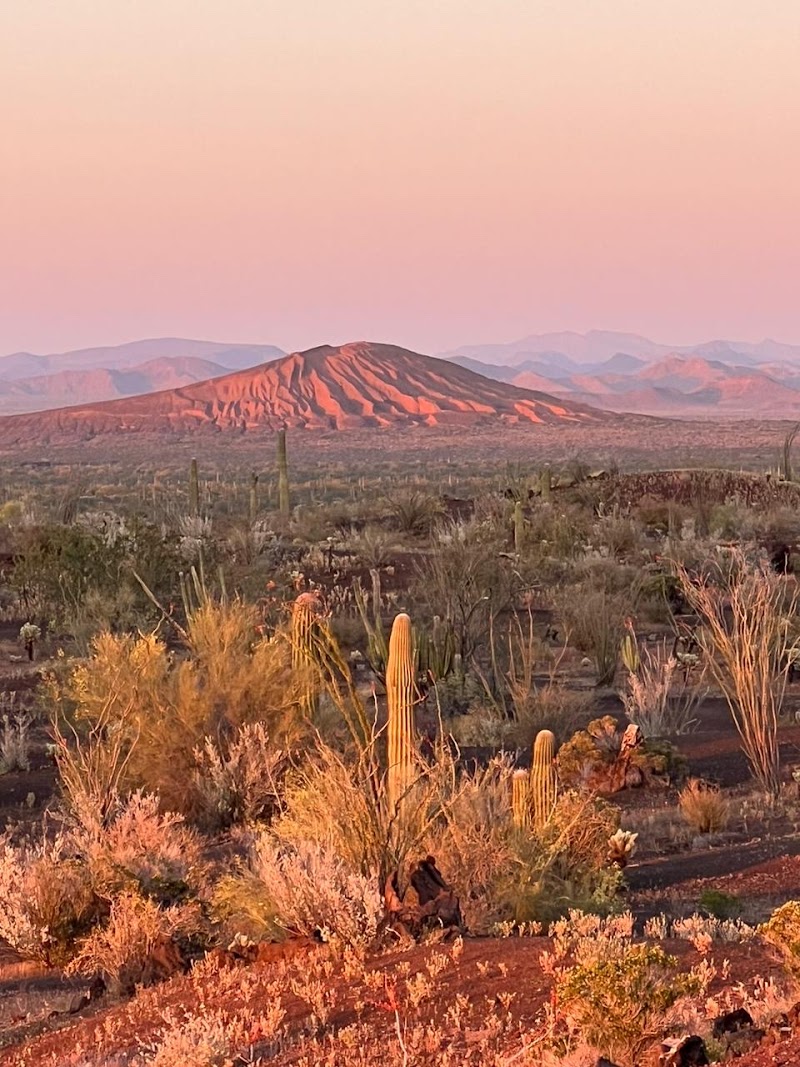 Photo 2 at El Pinacate and Gran Altar Desert in 