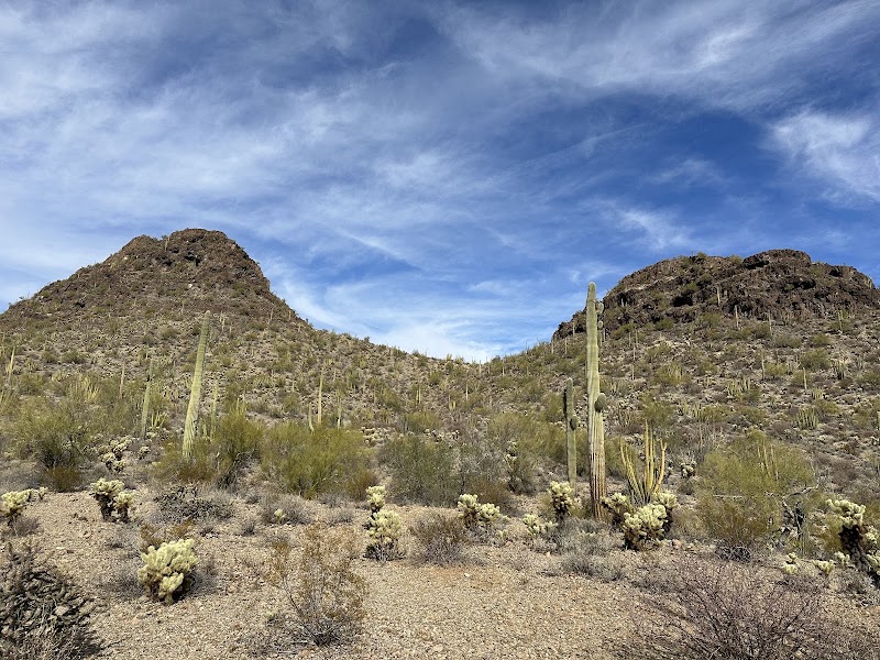 Photo 1 at El Pinacate and Gran Altar Desert in 