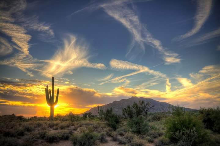 Photo 4 at El Pinacate and Gran Altar Desert in 