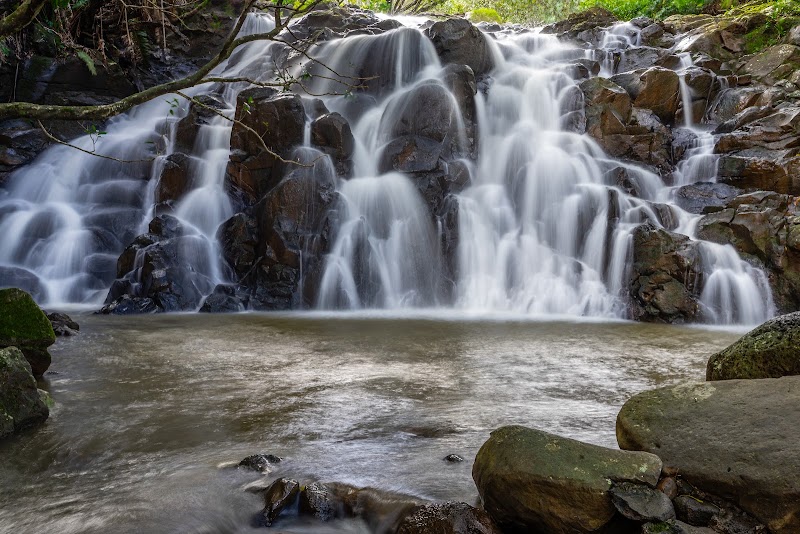 Photo 3 at Vallé Advenature Park (formerly La Vallée des Couleurs) in Chamouny