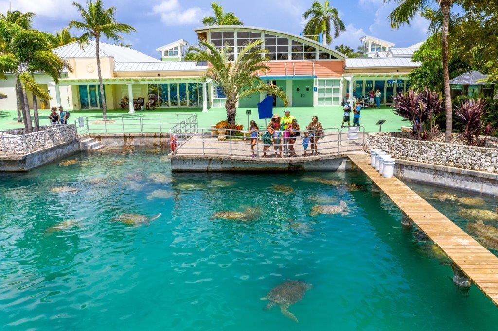 Cayman Turtle Centre in West Bay