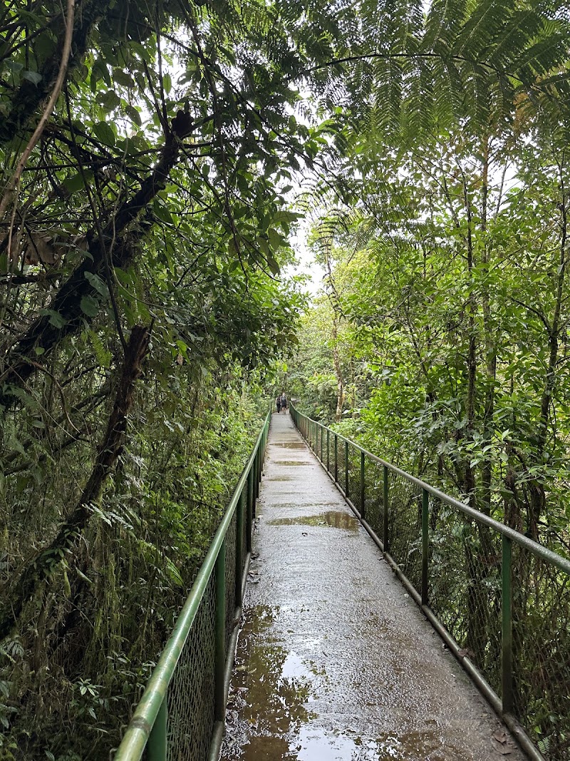 Photo 4 at Parque Nacional Volcán Tenorio in 