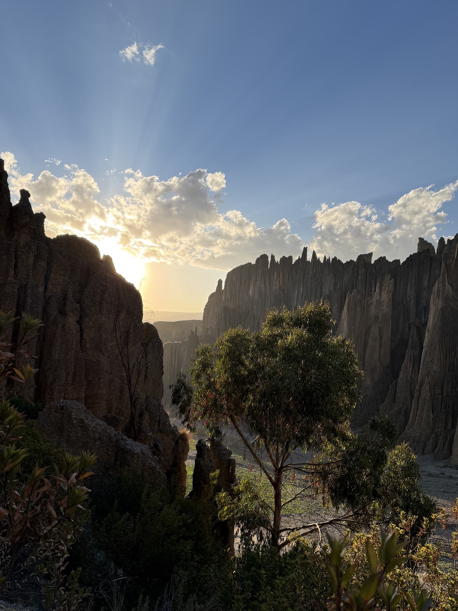Bolivia Homeland tours in La Paz