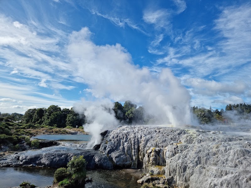 Te Puia - Rotorua, NZ in Rotorua