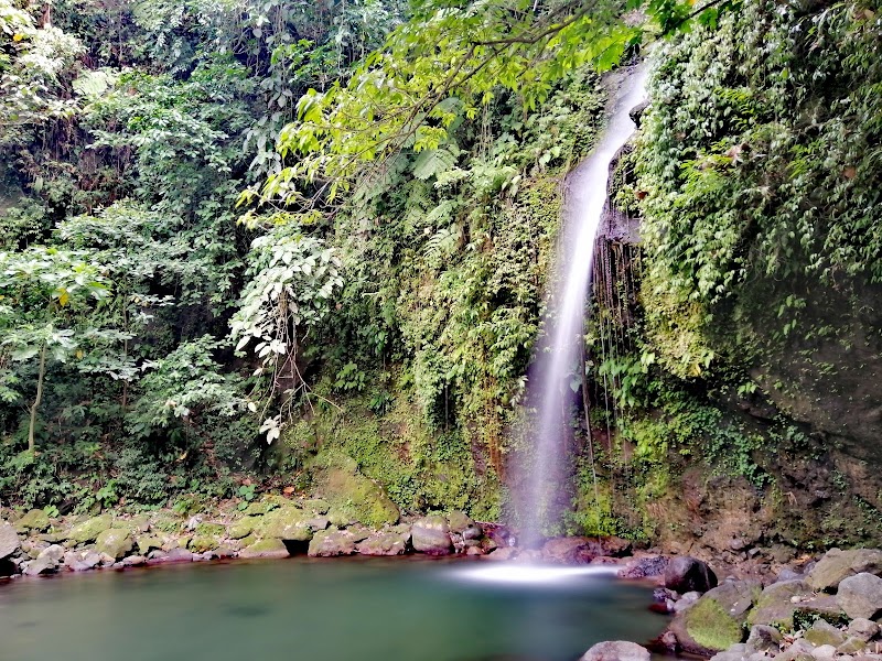 Photo 4 at Mayon Volcano Natural Park in Tabaco City