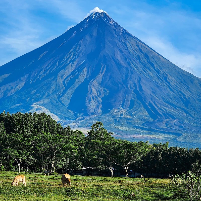 Photo 6 at Mayon Volcano Natural Park in Tabaco City