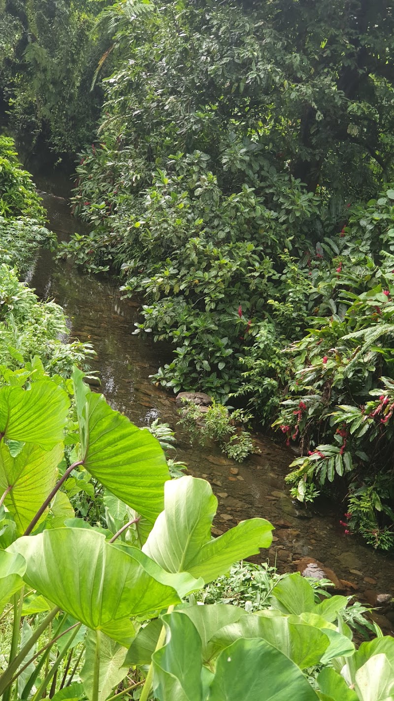 Photo 4 at Tavoro Falls in Bouma