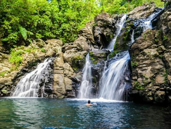 Photo 2 at Tavoro Falls in Bouma