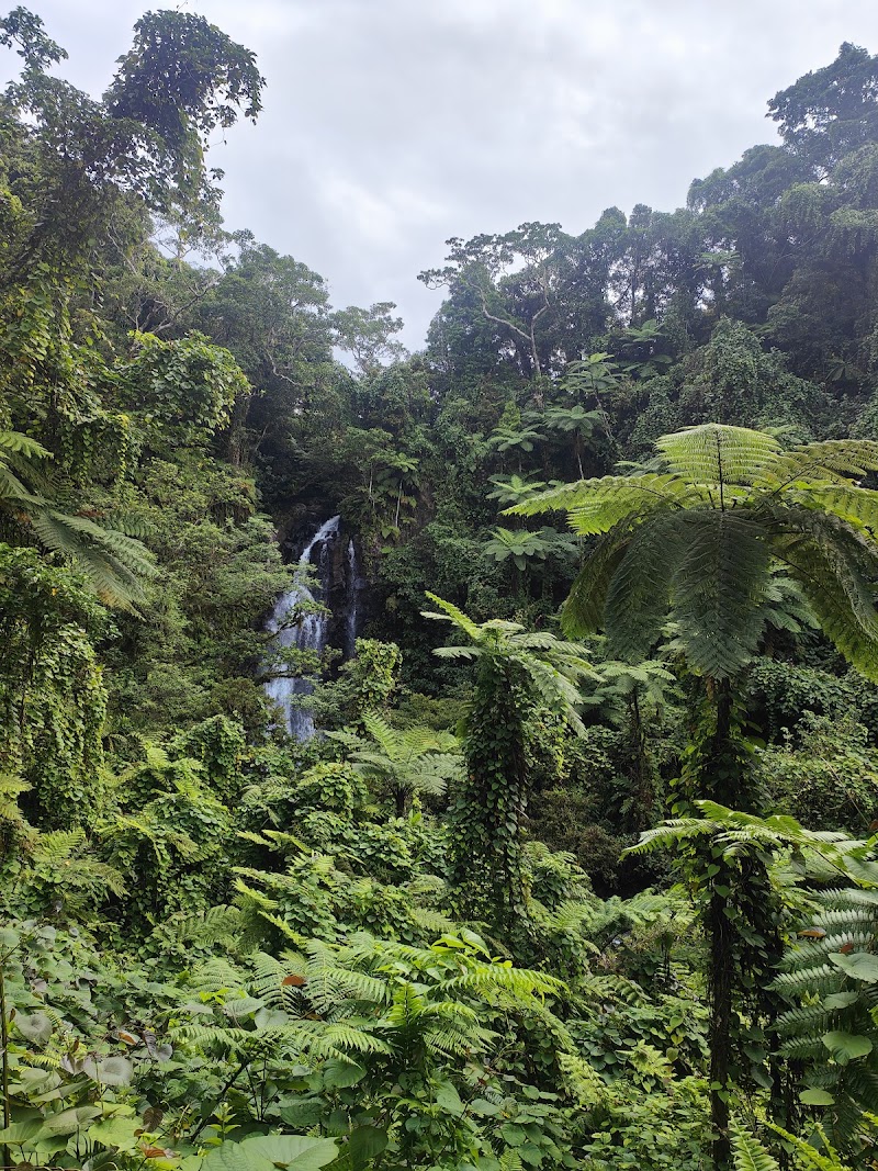 Photo 3 at Tavoro Falls in Bouma
