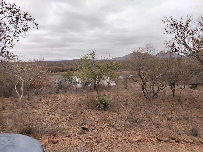 Photo 1 at Mokolodi Nature Reserve in Mokolodi