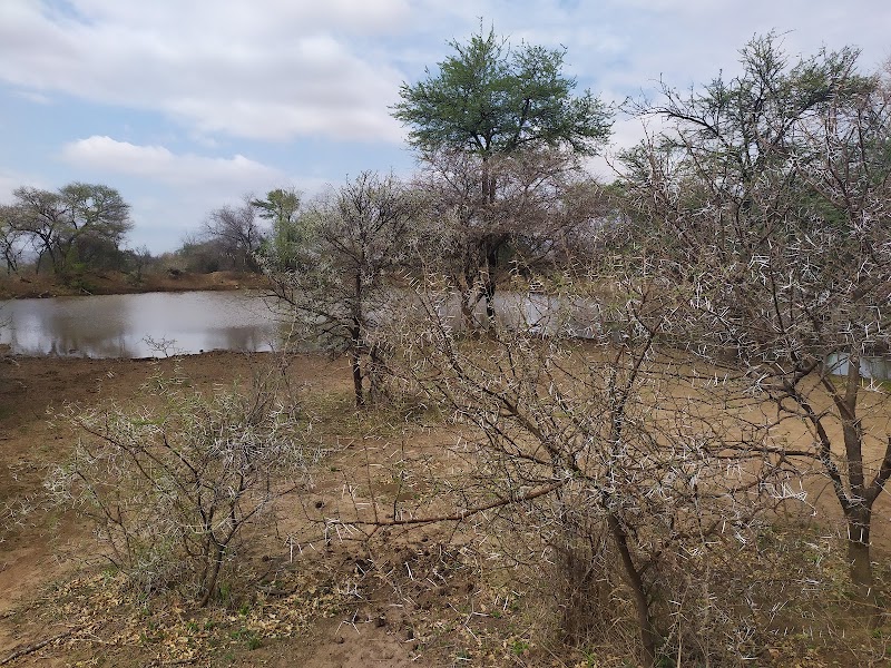 Photo 5 at Mokolodi Nature Reserve in Mokolodi