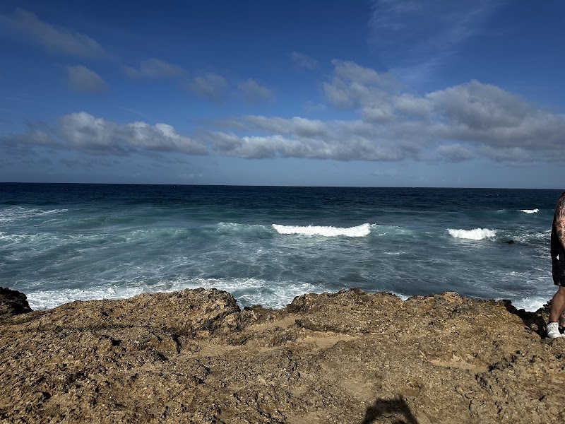 Photo 5 at Wariruri Beach in Noord
