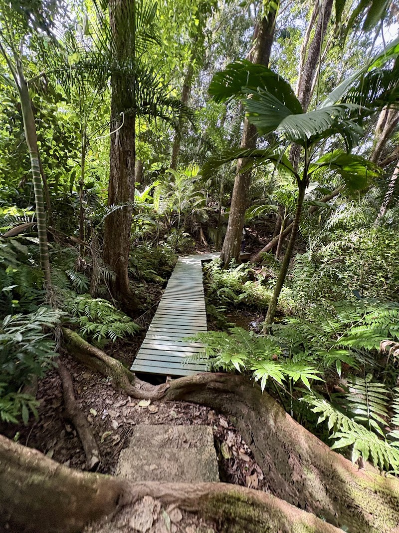 Photo 3 at Copolia Trail in Victoria