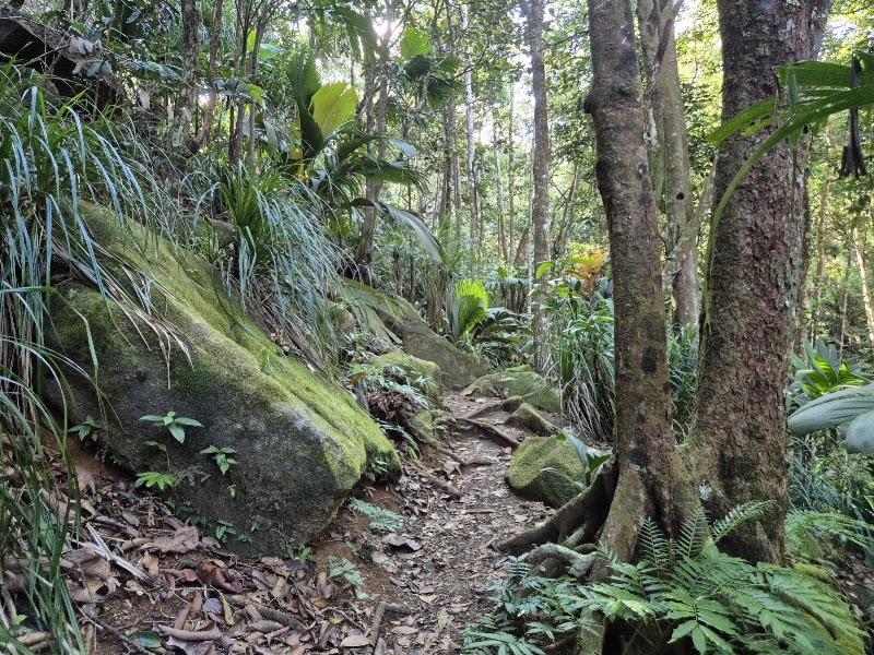 Photo 5 at Copolia Trail in Victoria