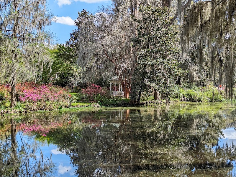 Photo 5 at Magnolia Plantation and Gardens in Charleston