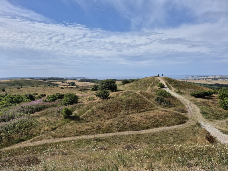 Photo 2 at Nationalpark Mols Bjerge in Rønde