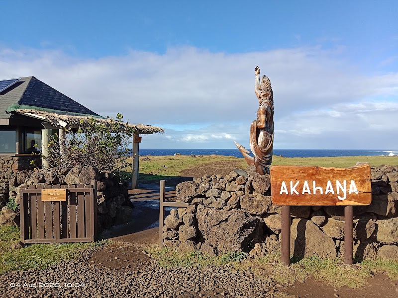 Photo 4 at Ahu Akahanga in Easter Island