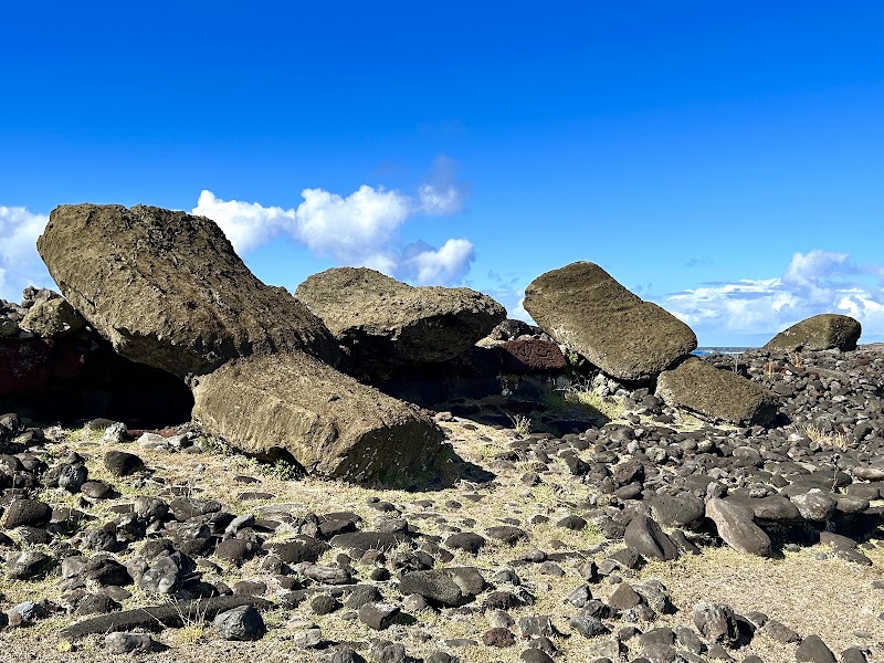 Photo 5 at Ahu Akahanga in Easter Island