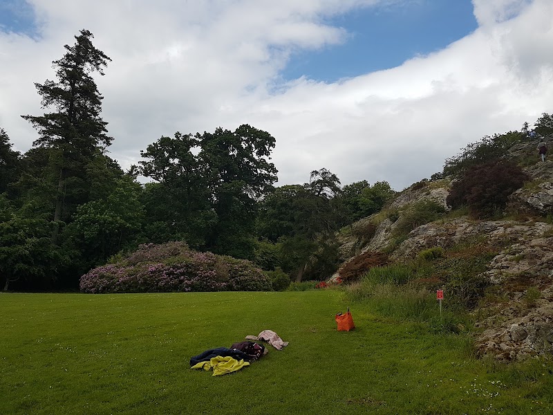 Photo 3 at Squirrel's Scramble Tree Adventure Park in Bray