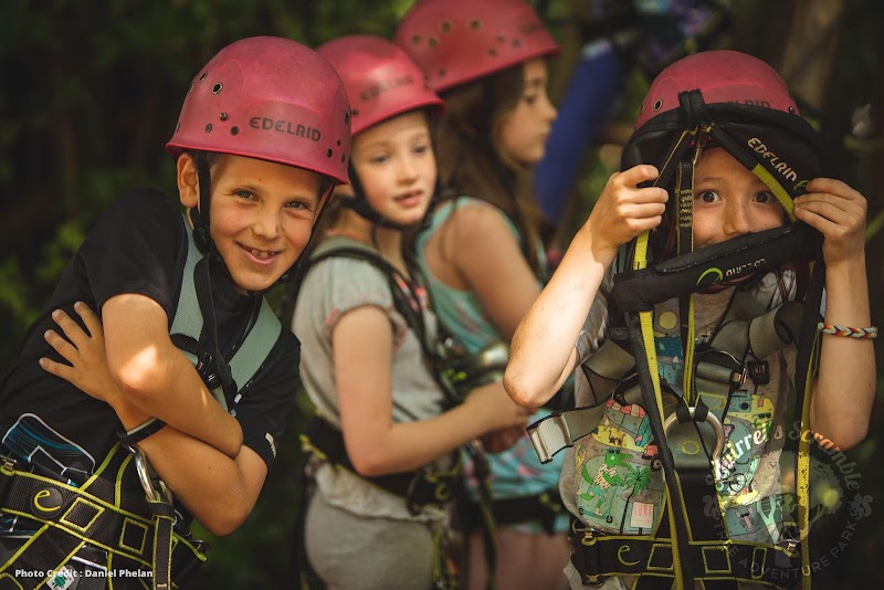 Squirrel's Scramble Tree Adventure Park in Bray