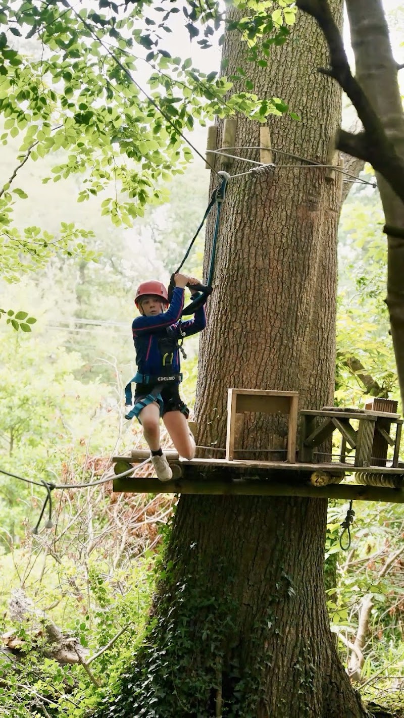 Photo 1 at Squirrel's Scramble Tree Adventure Park in Bray