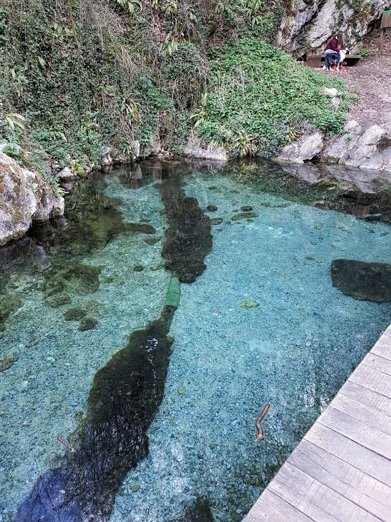 Photo 6 at Klevevž castle in Šmarješke Toplice
