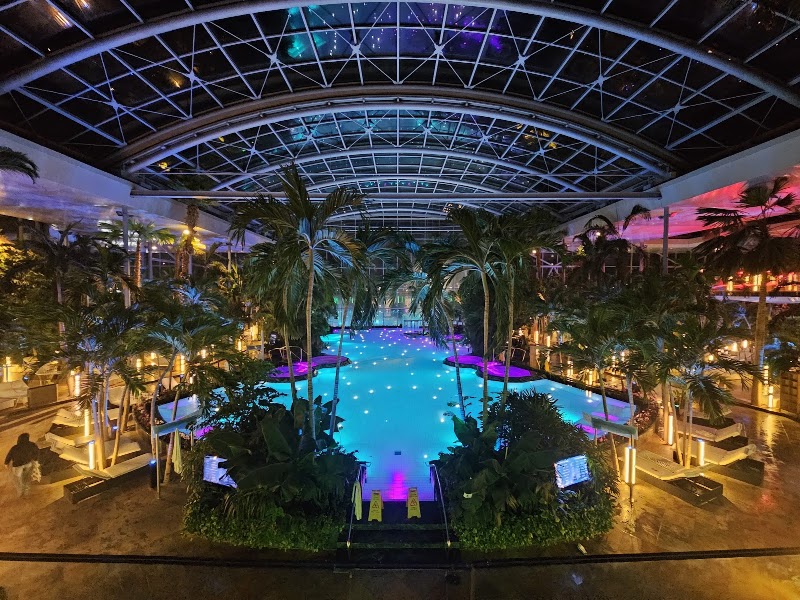 Photo 5 at Therme Bucharest in Balotești