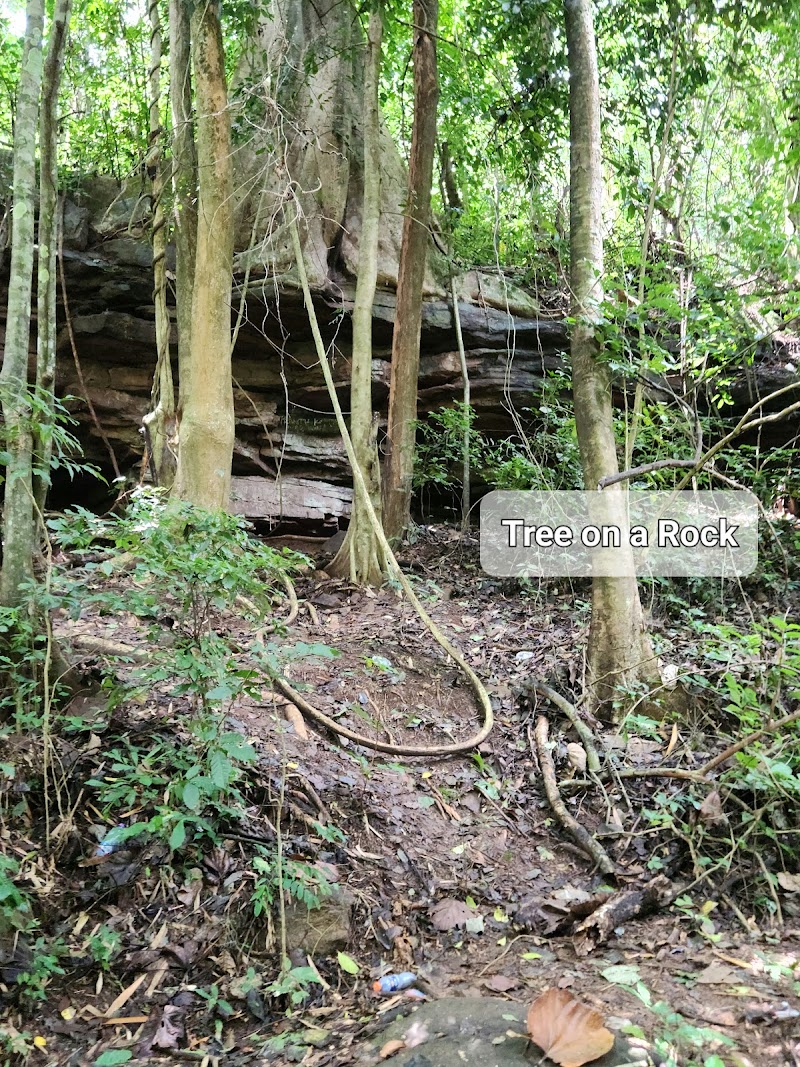 Photo 6 at Umbrella Rock in Asiafo Amanfro
