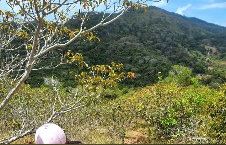 Photo 3 at Cerro de la Cruz in Taboga
