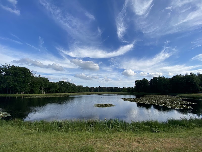 Photo 4 at Nationaal Park De Hoge Veluwe in 