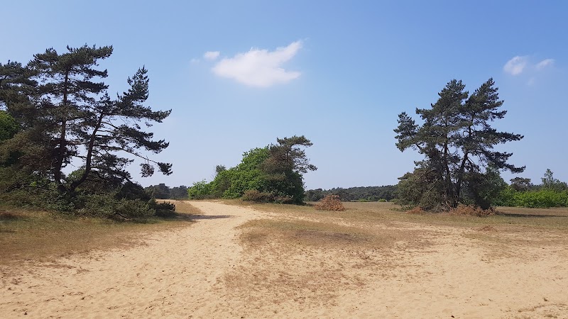 Photo 5 at Nationaal Park De Hoge Veluwe in 