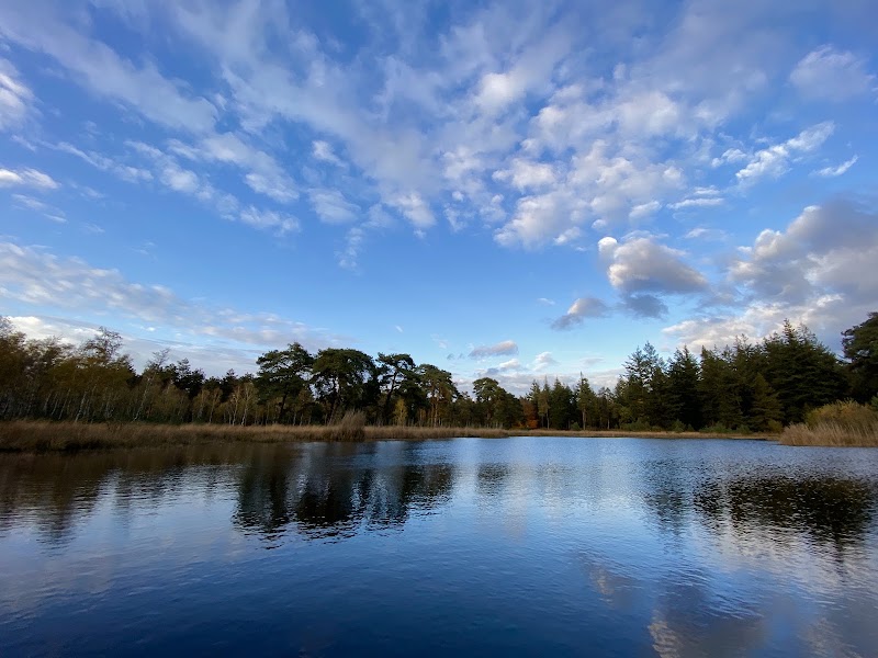 Photo 3 at Nationaal Park De Hoge Veluwe in 
