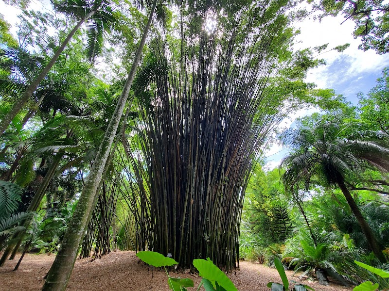 Photo 2 at Harry P Leu Gardens in Orlando