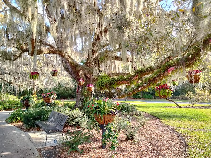 Photo 1 at Harry P Leu Gardens in Orlando