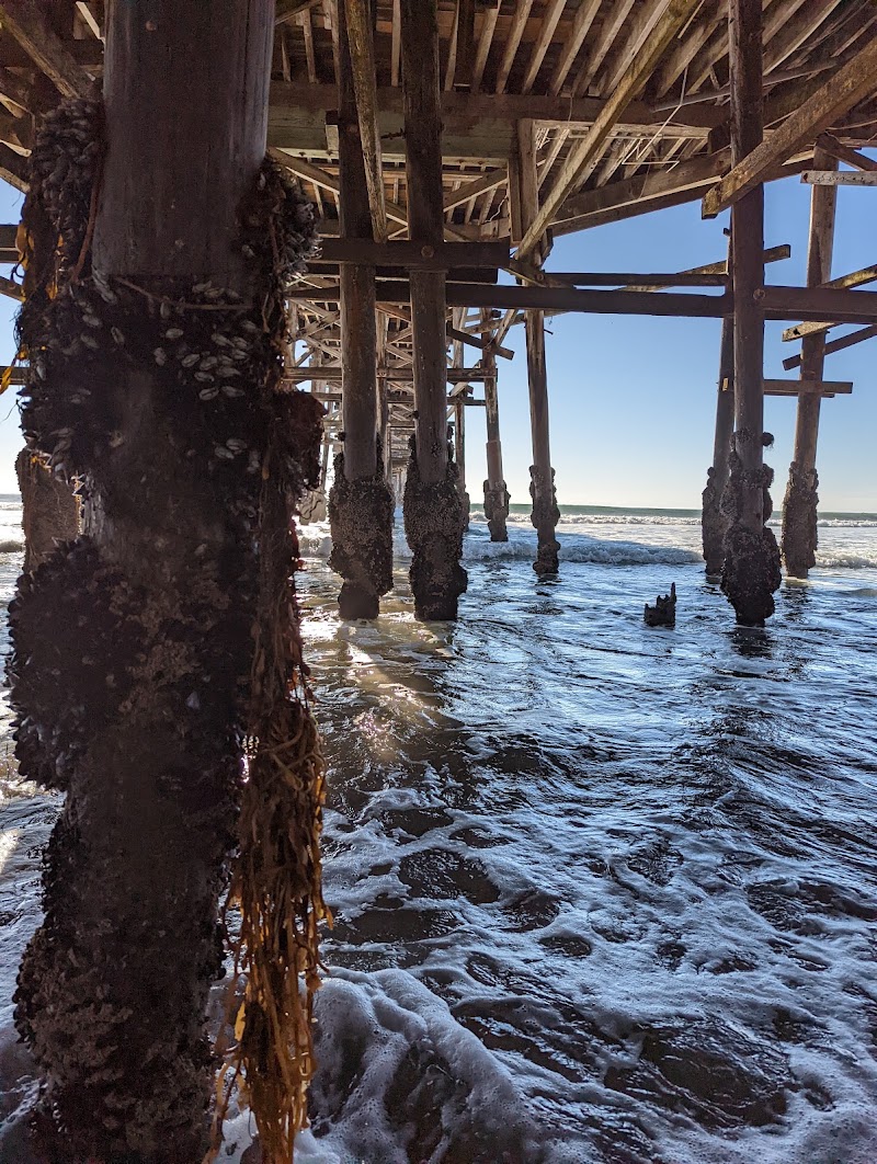 Photo 6 at Crystal Pier Hotel & Cottages in San Diego