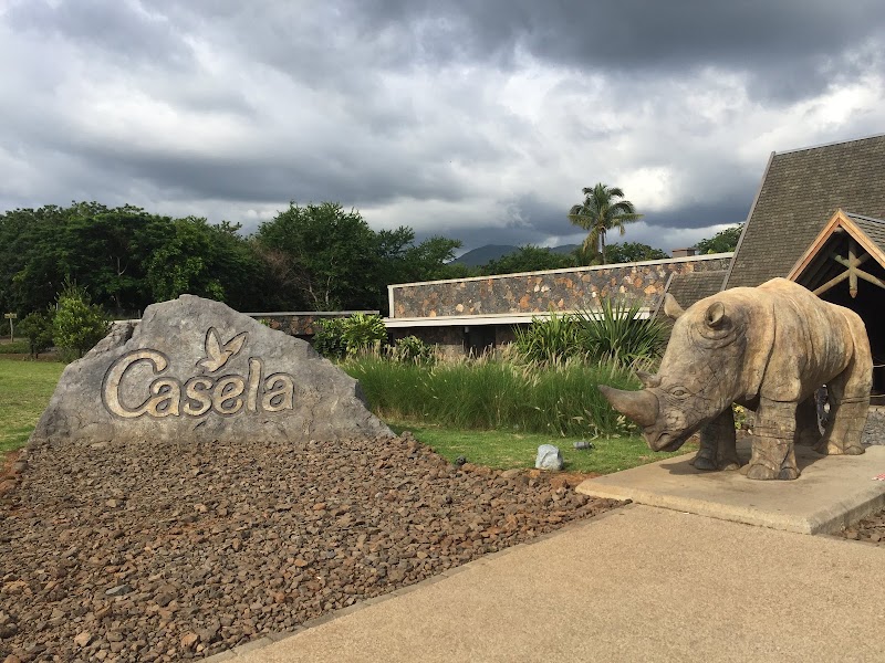 Photo 1 at Safari Adventures in Cascavelle, Black River