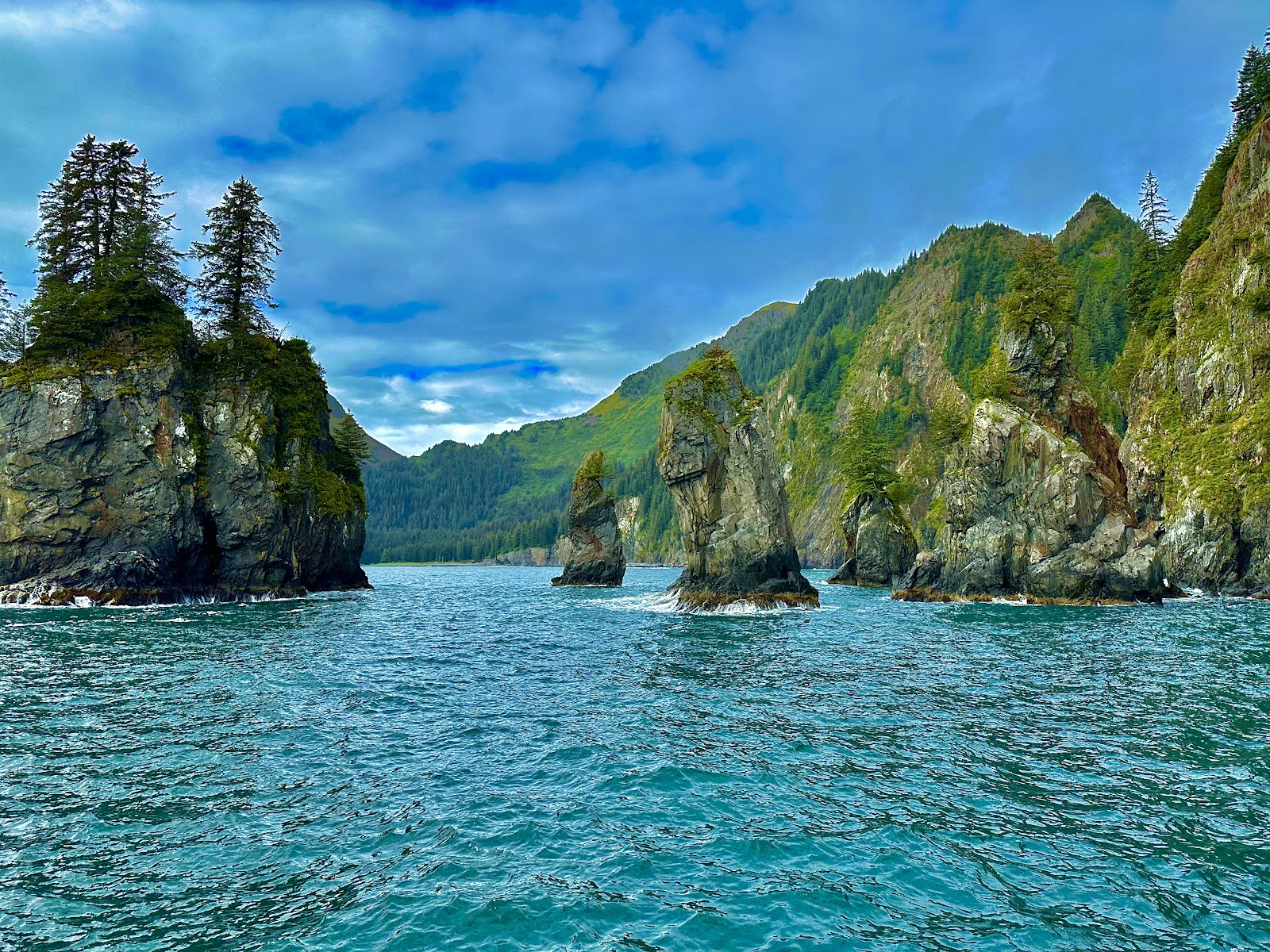 Kenai Fjords National Park in Seward