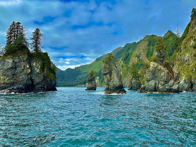 Kenai Fjords National Park in Seward