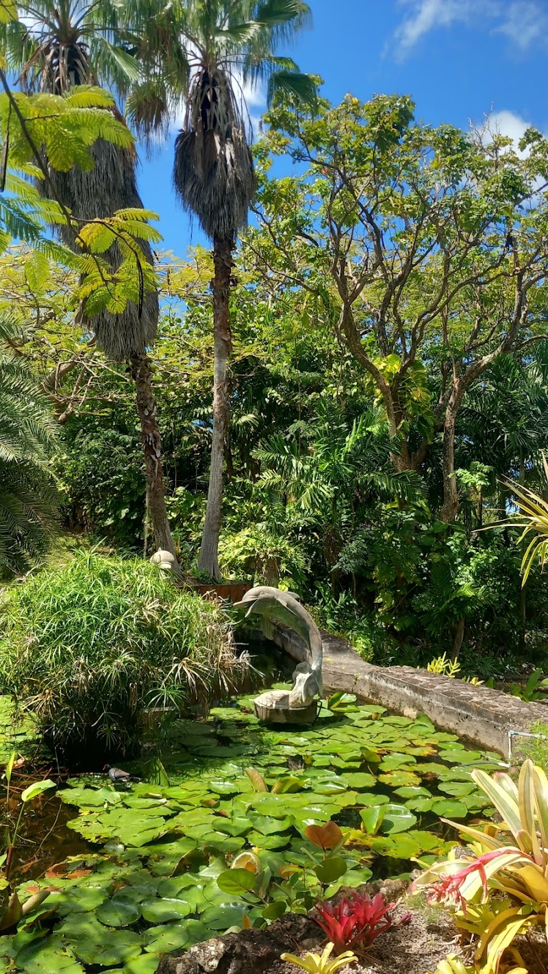 Botanical Gardens of Nevis in Nevis