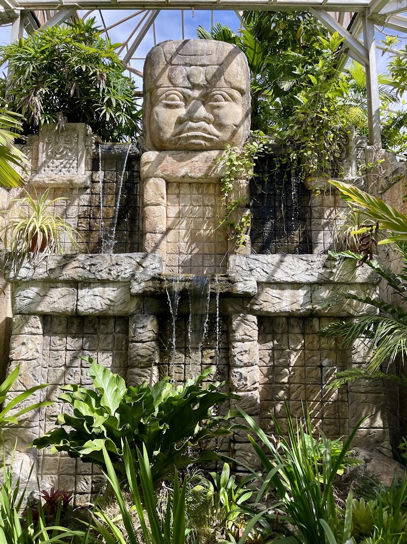 Photo 1 at Botanical Gardens of Nevis in Nevis