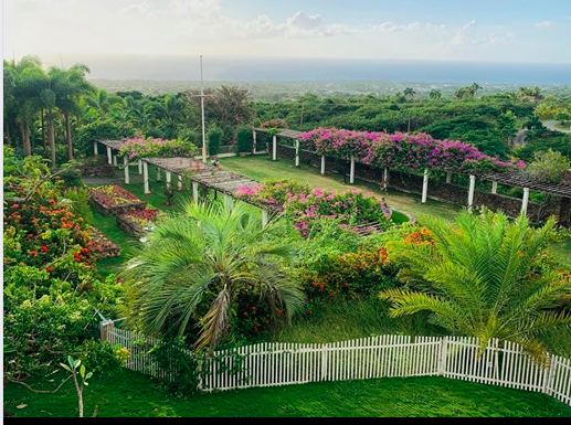 Photo 5 at Botanical Gardens of Nevis in Nevis