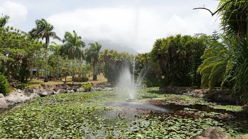 Photo 2 at Botanical Gardens of Nevis in Nevis
