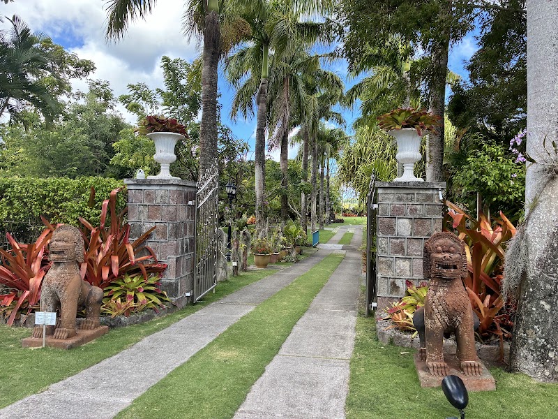 Photo 4 at Botanical Gardens of Nevis in Nevis