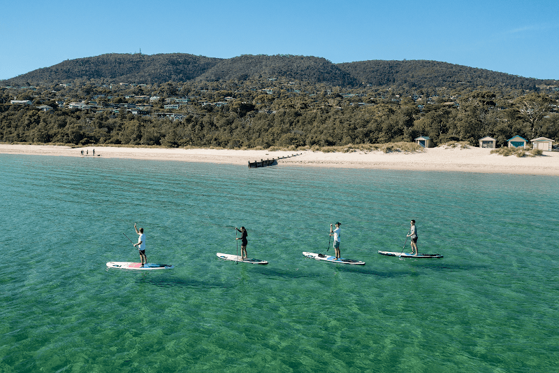 Wild Adventures Melbourne in McCrae