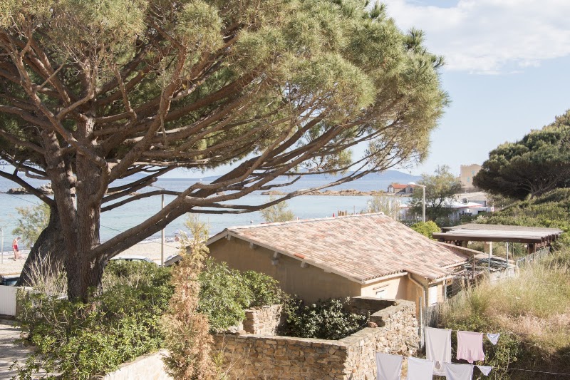 Photo 6 at Les Flots Bleus in Le Lavandou