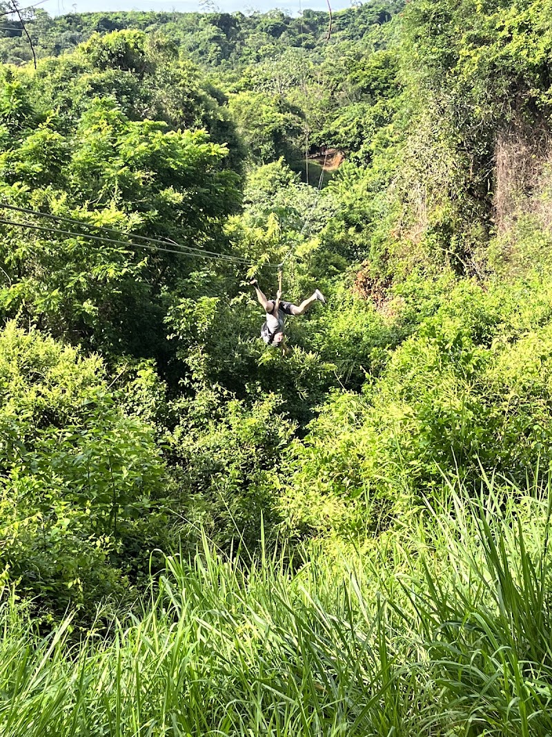 Photo 2 at Pirates of the Caribbean Zipline in roatan