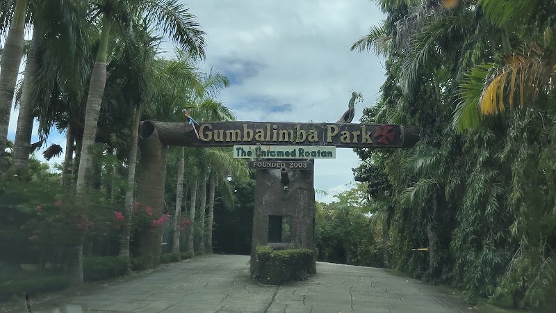 Photo 5 at Pirates of the Caribbean Zipline in roatan